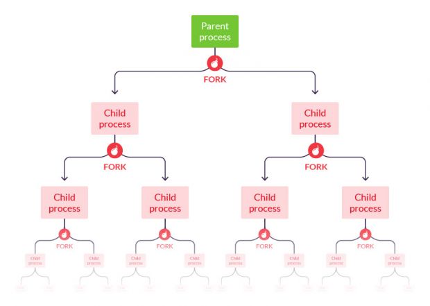 fork bomb process