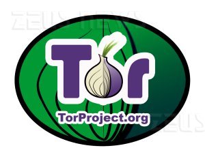 Attacco directory server progetto Tor