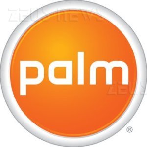 Le entrate di Palm calano del 24%