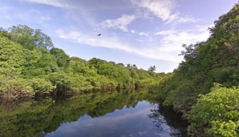 street view amazzonia