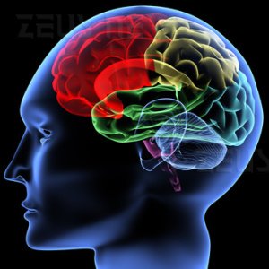 ElMindA Eeg Adhd deficit dell'attenzione