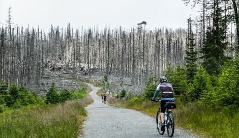 iron curtain trail