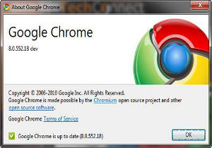 Google Chrome 8 PDF Flash Sandbox Adobe