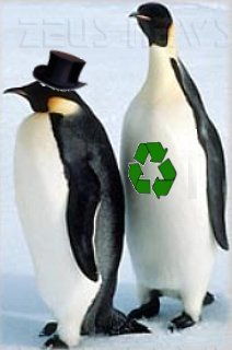 Pinguini