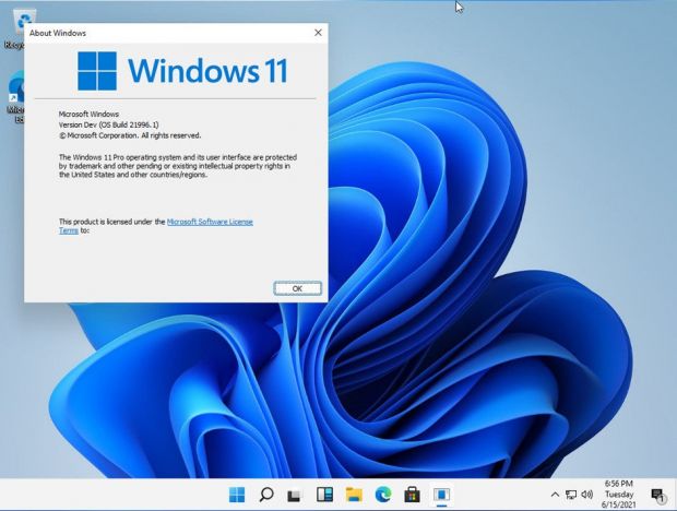 Windows 11