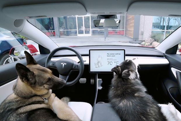 tesla dog mode