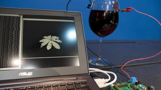 intel processore vino 4