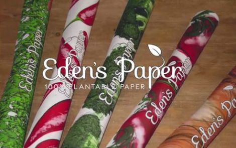 eden paper