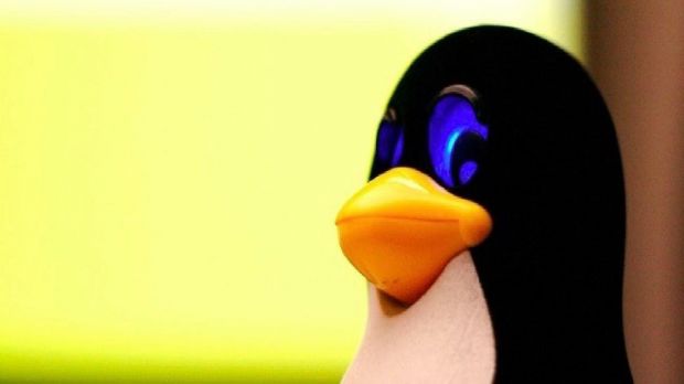 monaco abbandona linux