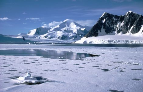 ghiacci antartide