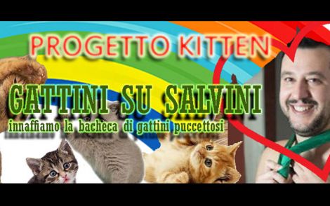 gattini salvini