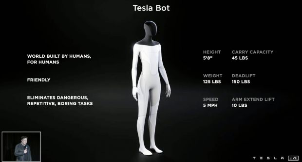 teslabot