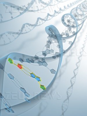 Germania e Usa condivideranno i database del Dna