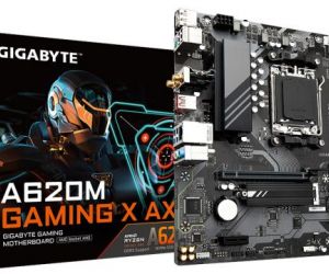 Articolo in evidenza