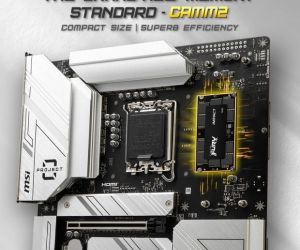 Articolo in evidenza