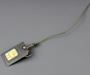 Articolo in evidenza