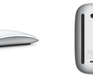 Articolo in evidenza