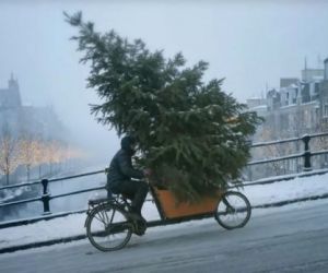 Articolo in evidenza