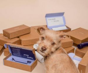 Articolo in evidenza