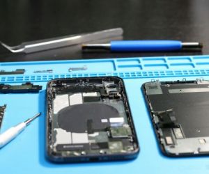 Articolo in evidenza