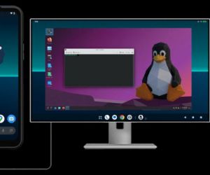 Articolo in evidenza