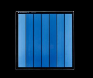 Articolo in evidenza