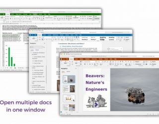 Articolo in evidenza