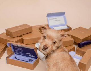 Articolo in evidenza