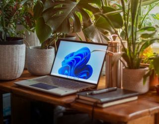 Articolo in evidenza