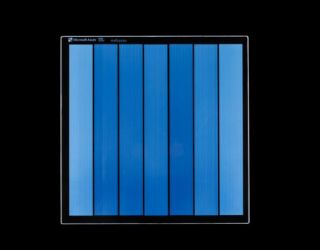 Articolo in evidenza