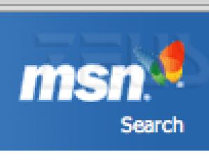 Logo di MSN