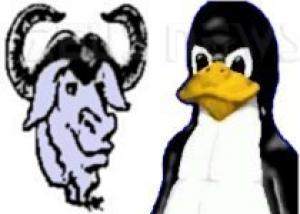 I simboli di GNU e Linux