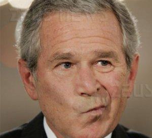Eff denuncia Bush Cheney Nsa spionaggio intercetta