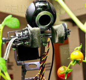 Mit robot giardinieri serra pomodori Correll