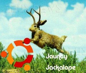 Ubuntu 9.04 Jaunty Jackalope beta