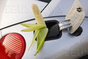 Biocarburanti fame Confederazione Agricoltori G14