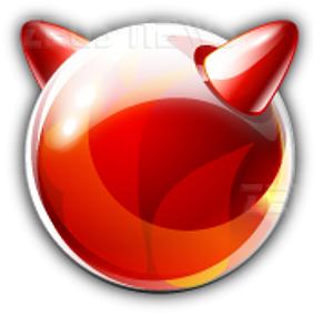 FreeBSD 8.0