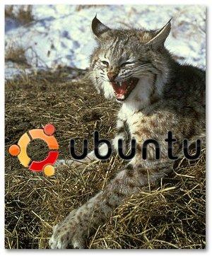 Ubuntu Lucid Lynx 10.04 LTS