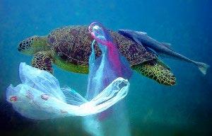 Petizione online sacchetti plastica bando 2011