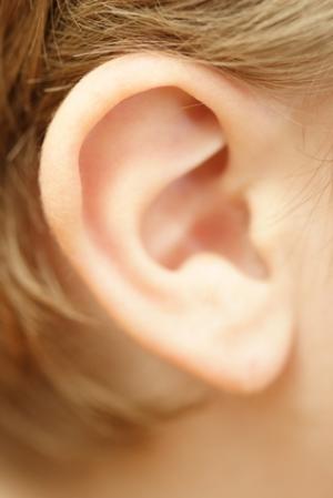 Biometria orecchio Mark Nixon 