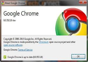 Google Chrome 8 PDF Flash Sandbox Adobe
