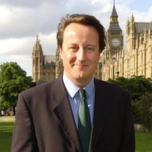 David Cameron democrazia online