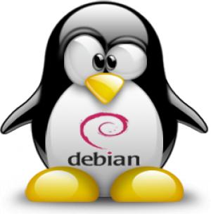 Debian Squeeze 6.0 Linux FreeBSD