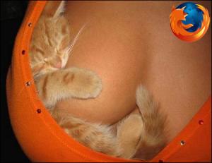 firefox