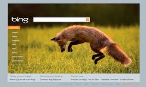 Firefox with Bing