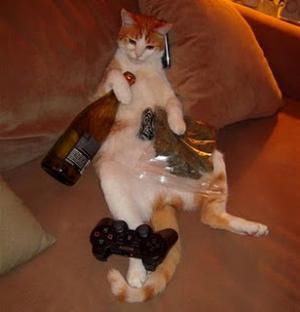 cat booze and videogames 047