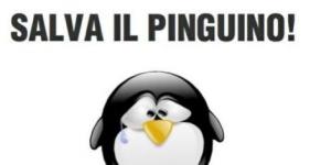 salva il pinguino