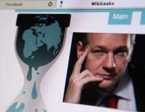 wikileaks partito pirata
