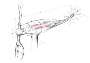 Renzo Piano Dragonfly Wind Turbine 1