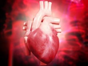 cuore stampato 3D